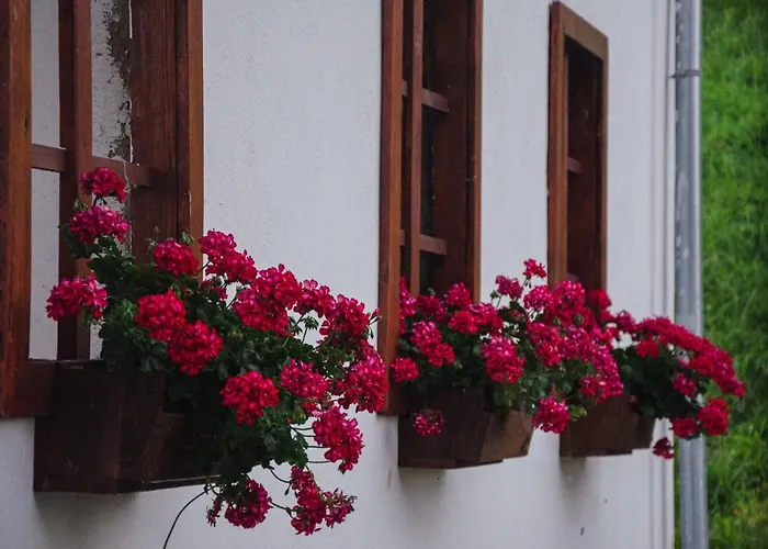 Bed & Breakfast Rezidenca Sv. Peter 3*